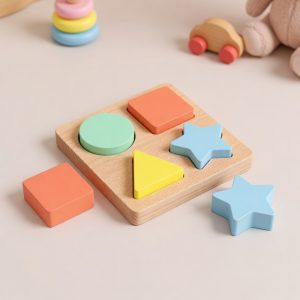 ShapeMatch Learning Puzzle Set
